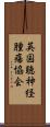 英国聴神経腫瘍協会 Scroll
