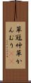 草冠 Scroll