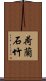 荷蘭石竹 Scroll