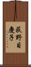 荻野目慶子 Scroll