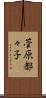 菅原都々子 Scroll