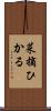 菜摘ひかる Scroll