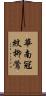 華南冠紋柳鶯 Scroll