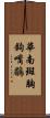 華南斑胸鉤嘴鶥 Scroll