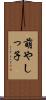 萌やしっ子 Scroll