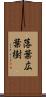 落葉広葉樹 Scroll