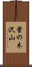 葉の木沢山 Scroll