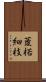 葼 Scroll