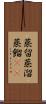 蒸留 Scroll