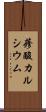 蓚酸カルシウム Scroll