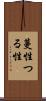 蔓性 Scroll