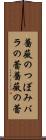 薔薇のつぼみ Scroll