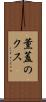 薫蓋のクス Scroll