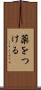 薬をつける Scroll