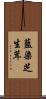藍染芝生茸 Scroll