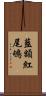 藍額紅尾鴝 Scroll