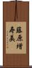 藤原増寿美 Scroll