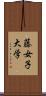 藤女子大学 Scroll