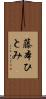 藤本ひとみ Scroll