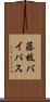 藤枝バイパス Scroll