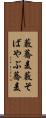 藪蕎麦 Scroll