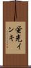 蛍光インキ Scroll