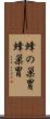 蜂の巣胃 Scroll
