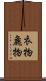 衣物 Scroll