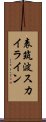 表筑波スカイライン Scroll