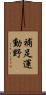 補足運動野 Scroll