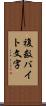 複数バイト文字 Scroll