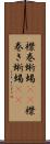 襟巻蜥蜴(rK) Scroll