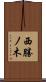 西勝ノ木 Scroll