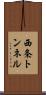 西条トンネル Scroll