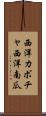 西洋カボチャ Scroll