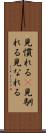見慣れる(P) Scroll