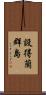 設得蘭群島 Scroll