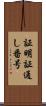 証明証通し番号 Scroll