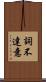 詞不達意 Scroll