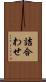 詰合わせ Scroll