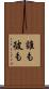 誰も彼も Scroll