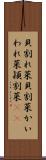 貝割れ菜 Scroll