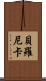 Beronica Scroll