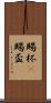 賜杯(P) Scroll
