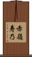赤嶺寿乃 Scroll