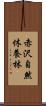赤沢自然休養林 Scroll