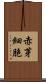 赤芽細胞 Scroll