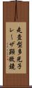 走査型多光子レーザ顕微鏡 Scroll