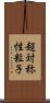 超対称性粒子 Scroll