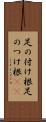 足の付け根 Scroll